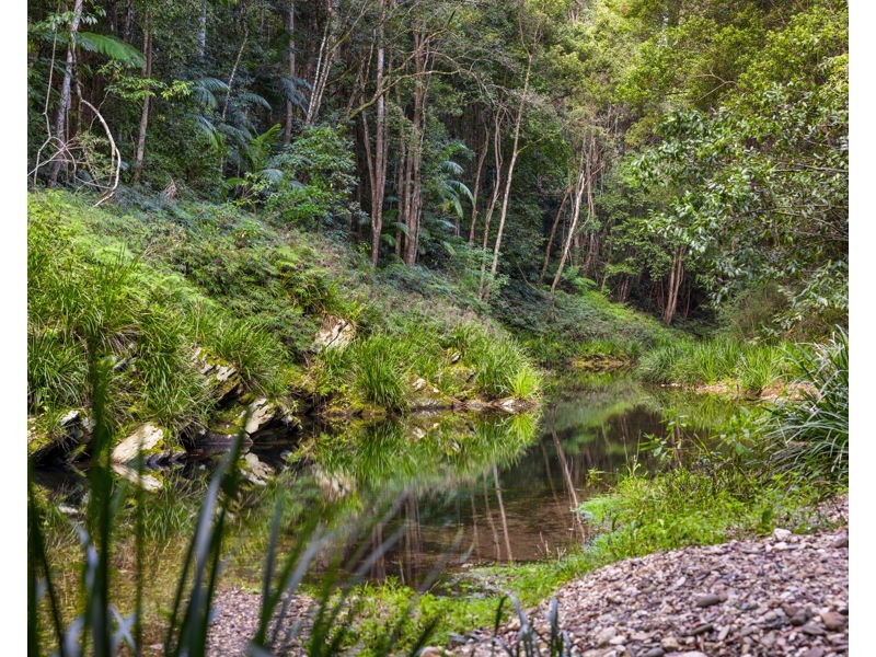 2206 Kalang Road, Bellingen NSW 2454