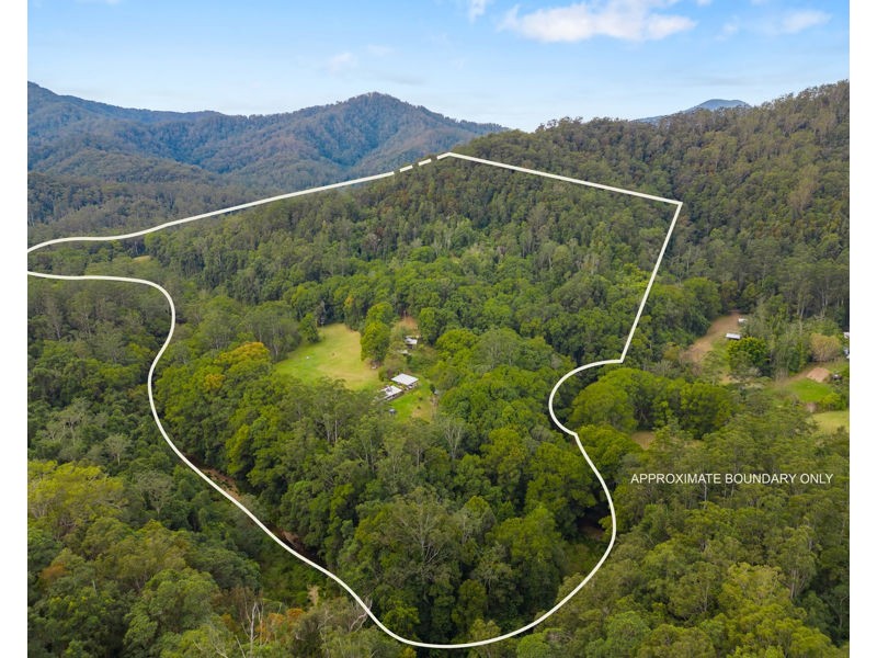 2206 Kalang Road, Bellingen NSW 2454