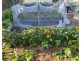 343 Roses Road, Gleniffer NSW 2454