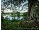 7 Baker Street Fernmount, Bellingen NSW 2454