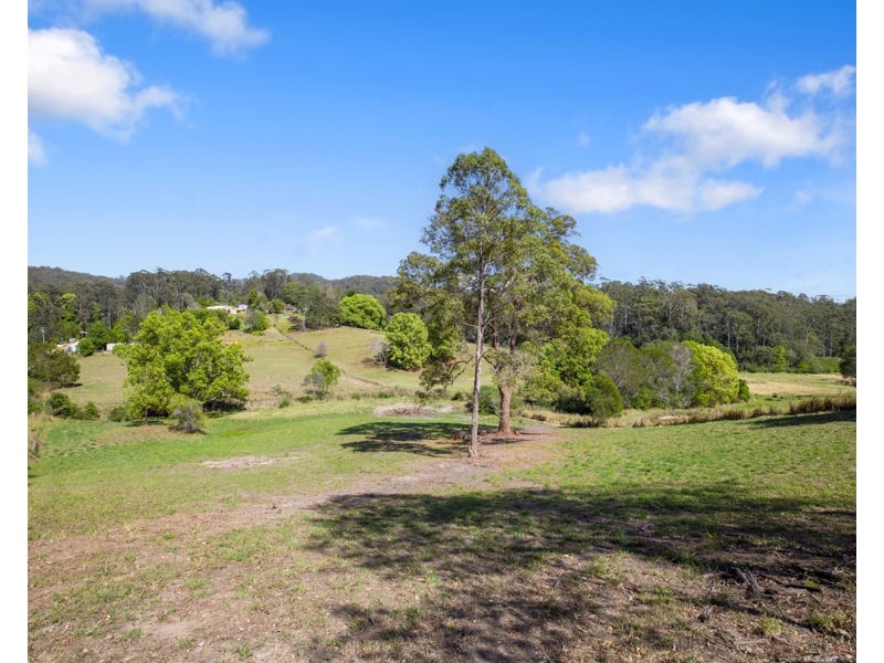 215 Mount St, Bellingen NSW 2454
