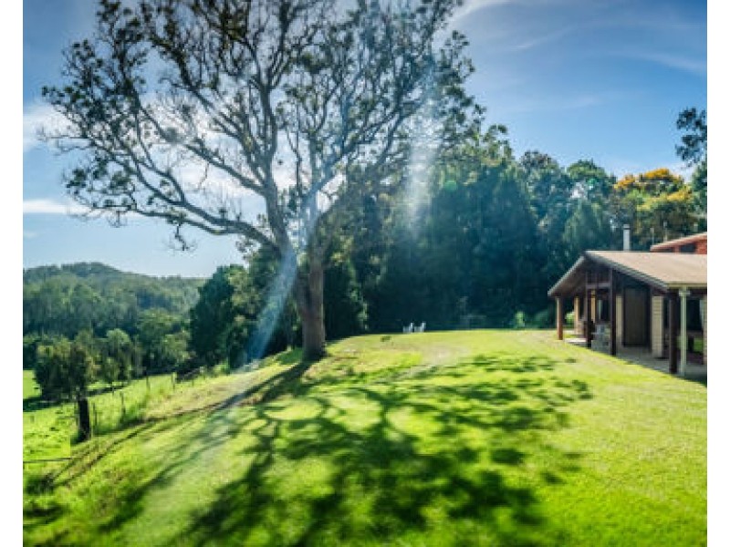 316 Kalang Road, Bellingen NSW 2454
