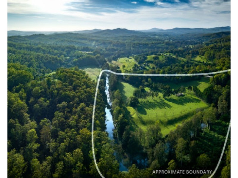 316 Kalang Road, Bellingen NSW 2454