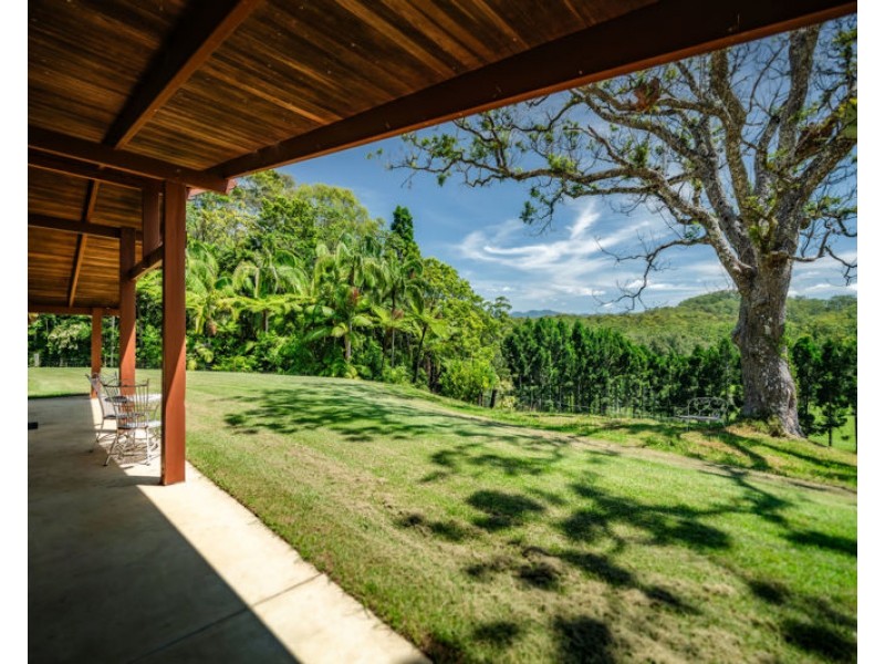 316 Kalang Road, Bellingen NSW 2454