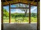 316 Kalang Road, Bellingen NSW 2454