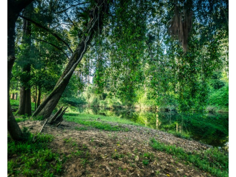316 Kalang Road, Bellingen NSW 2454