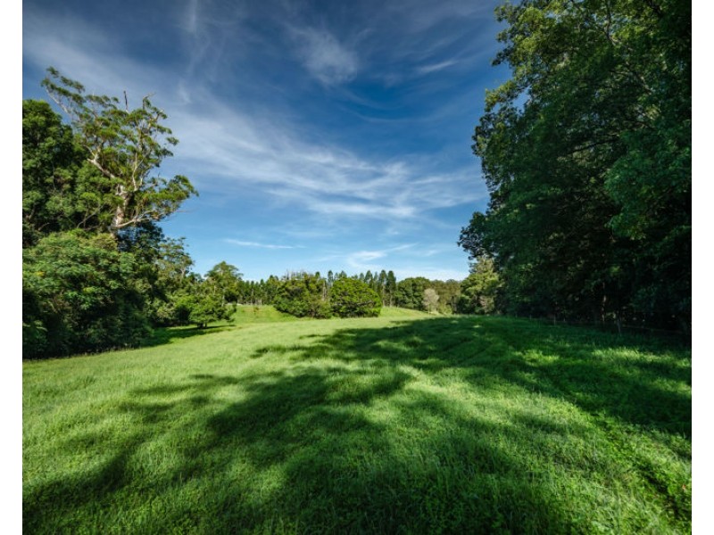 316 Kalang Road, Bellingen NSW 2454