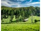 316 Kalang Road, Bellingen NSW 2454