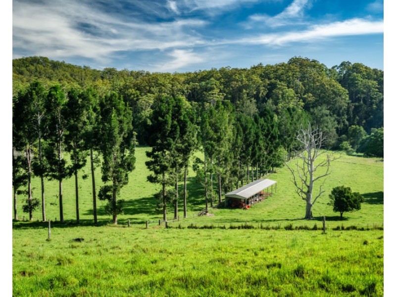 316 Kalang Road, Bellingen NSW 2454