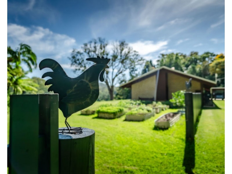 316 Kalang Road, Bellingen NSW 2454