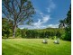 316 Kalang Road, Bellingen NSW 2454