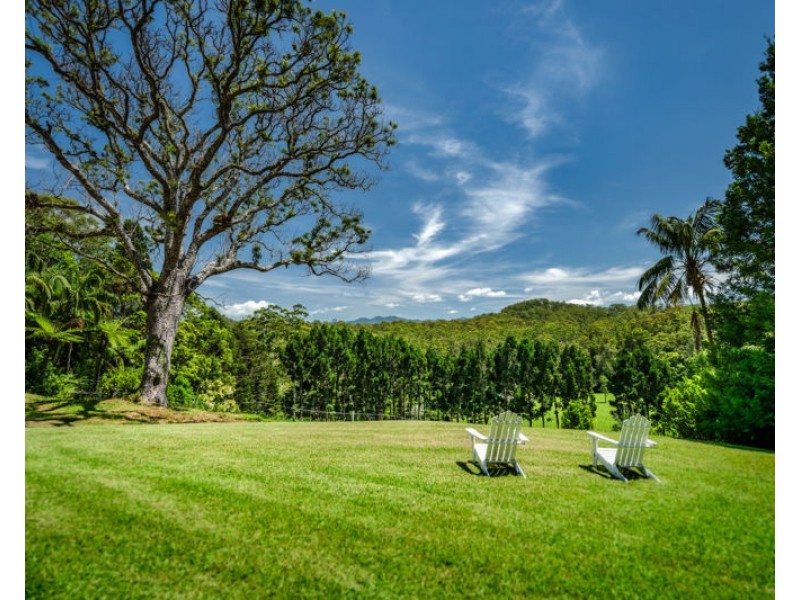 316 Kalang Road, Bellingen NSW 2454