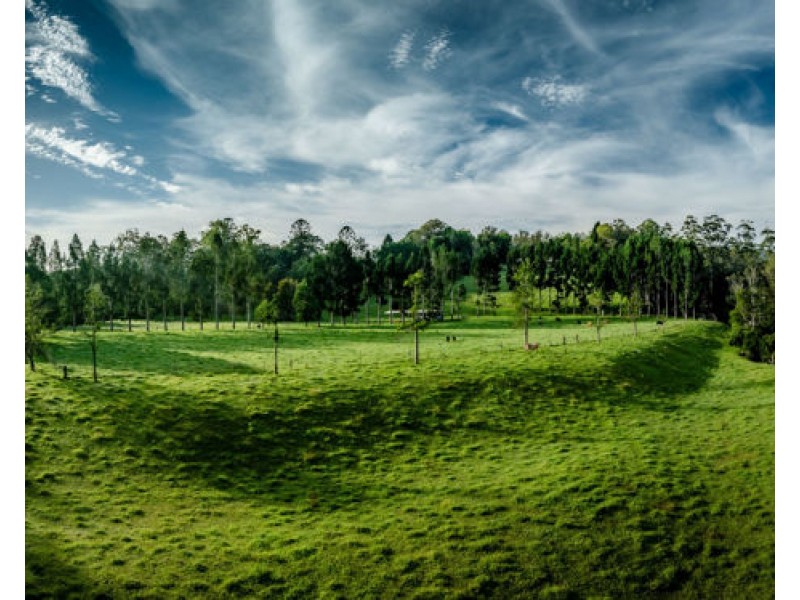 316 Kalang Road, Bellingen NSW 2454