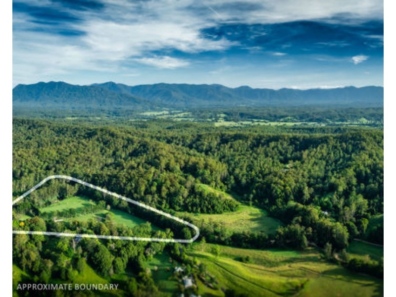 316 Kalang Road, Bellingen NSW 2454