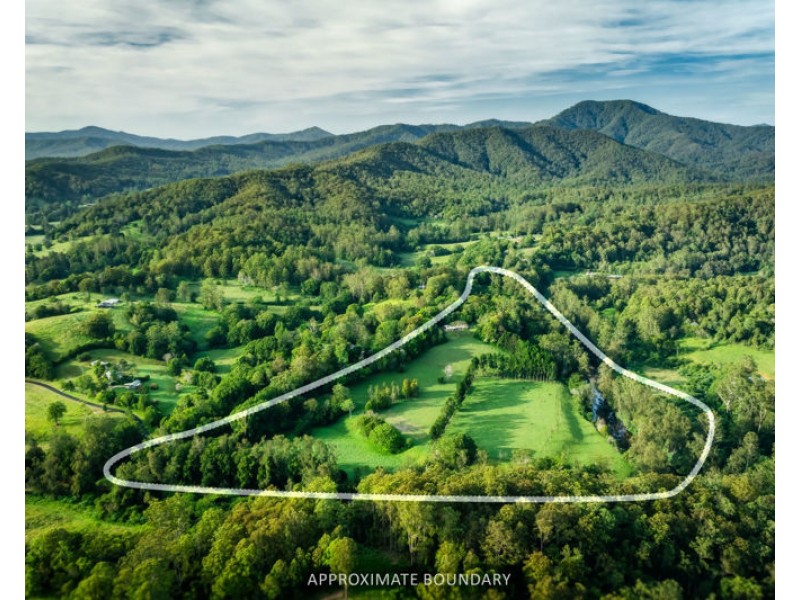 316 Kalang Road, Bellingen NSW 2454