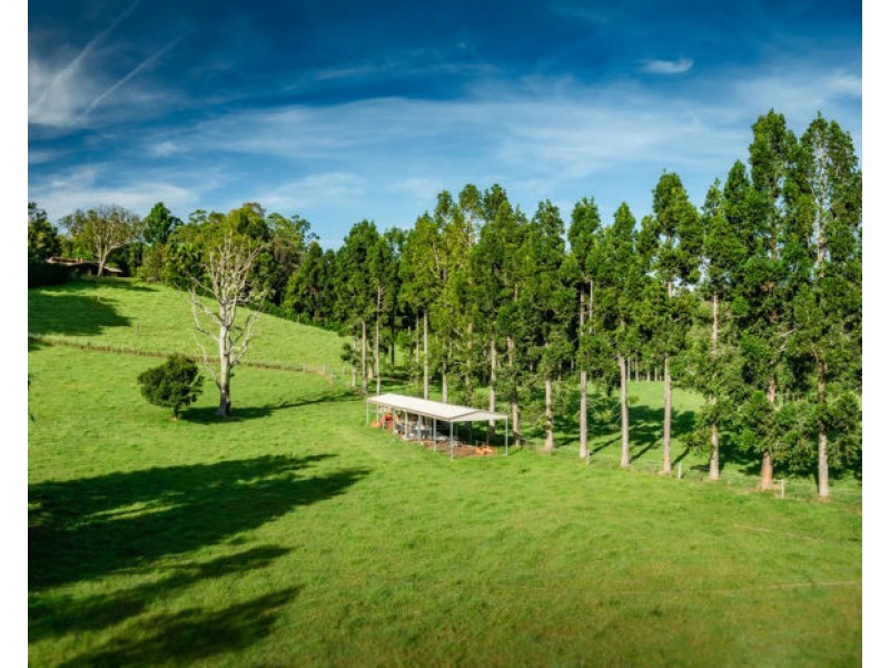 316 Kalang Road, Bellingen NSW 2454