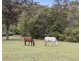 1111 Bowraville Road, Bellingen NSW 2454