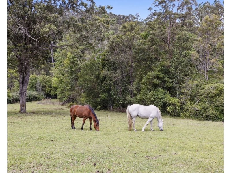1111 Bowraville Road, Bellingen NSW 2454