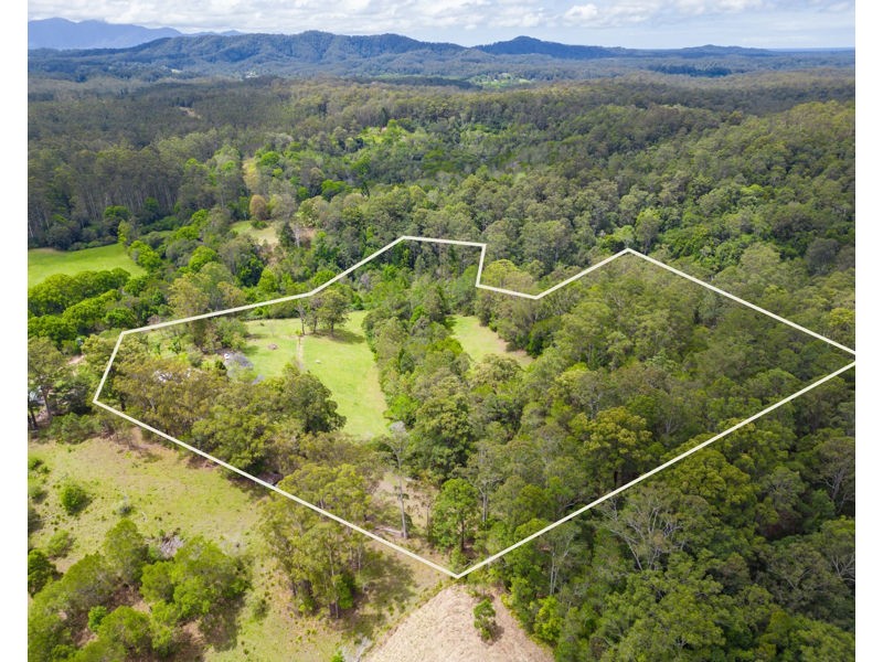 1111 Bowraville Road, Bellingen NSW 2454