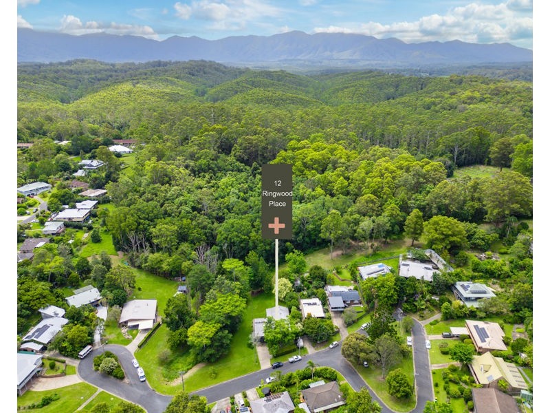 12 Ringwood Place, Bellingen NSW 2454