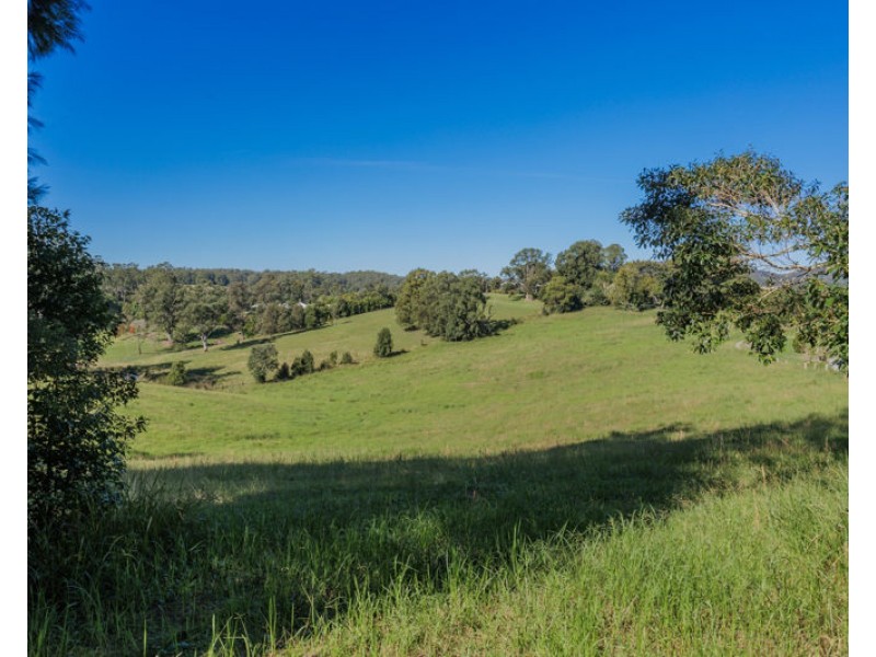 Lot 46 Hydes Creek Road, Bellingen NSW 2454