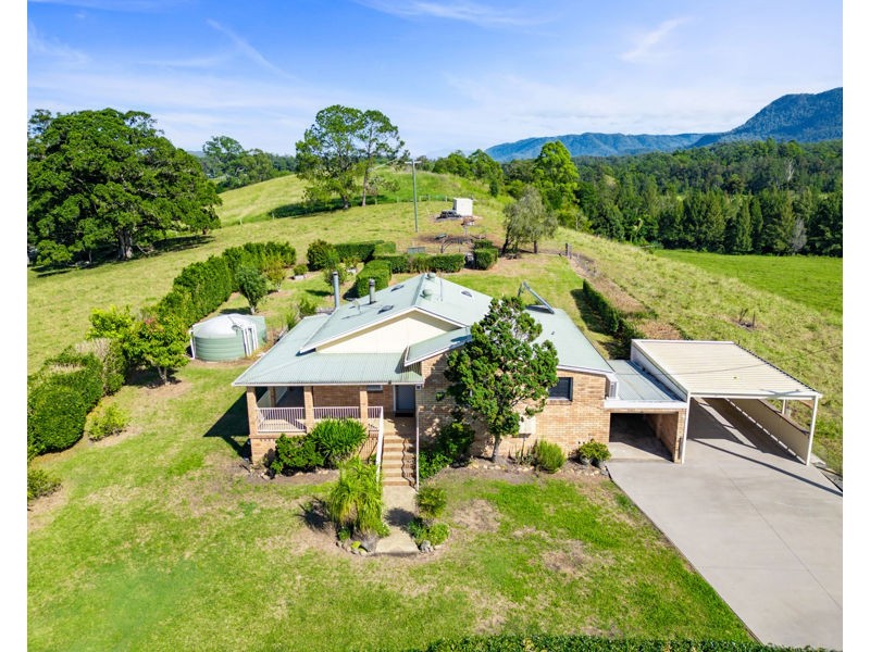 1646 Waterfall Way, Bellingen NSW 2454