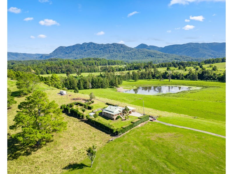 1646 Waterfall Way, Bellingen NSW 2454