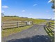 1646 Waterfall Way, Bellingen NSW 2454