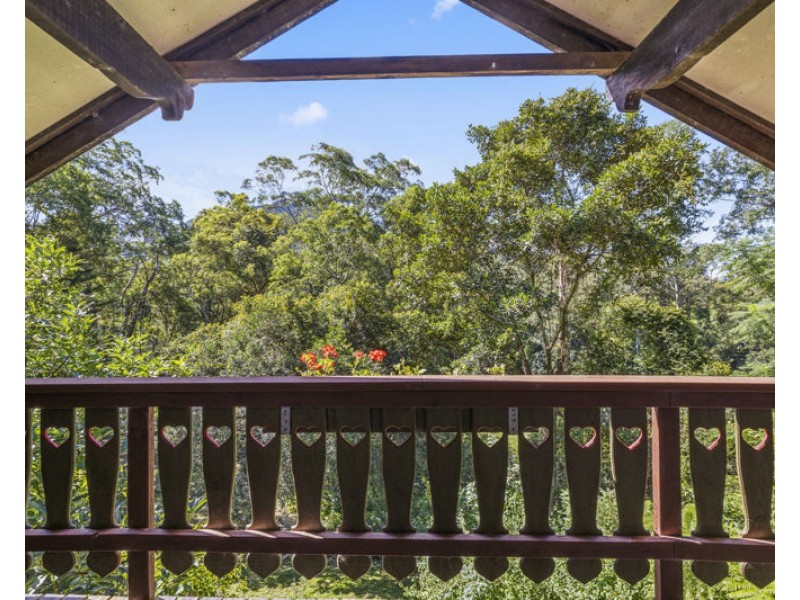 803 Summervilles Rd Thora, Bellingen NSW 2454