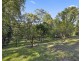 803 Summervilles Rd Thora, Bellingen NSW 2454