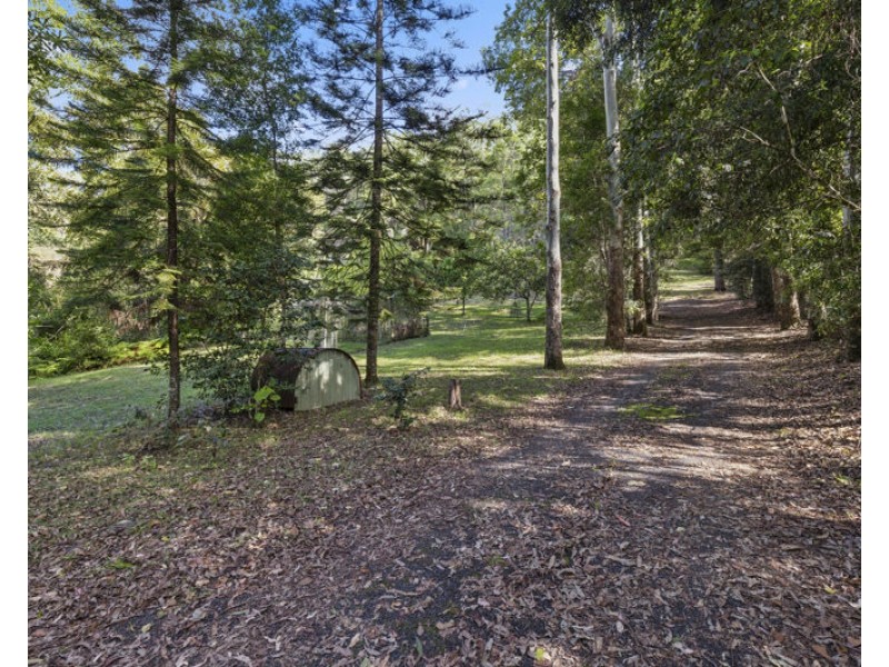 803 Summervilles Rd Thora, Bellingen NSW 2454