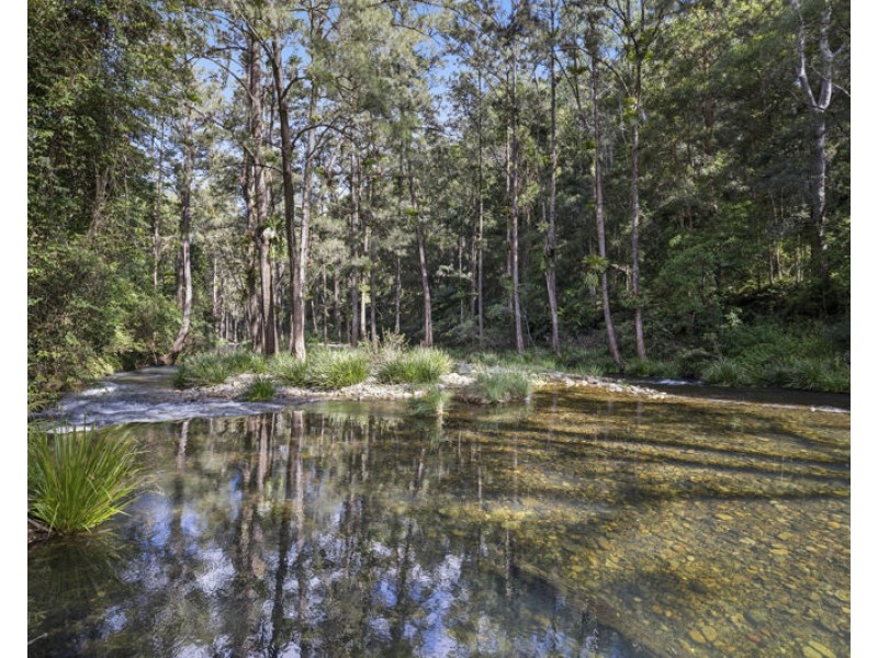 803 Summervilles Rd Thora, Bellingen NSW 2454