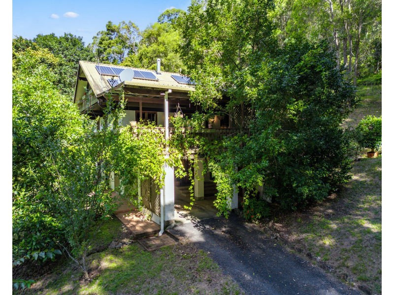 803 Summervilles Rd Thora, Bellingen NSW 2454
