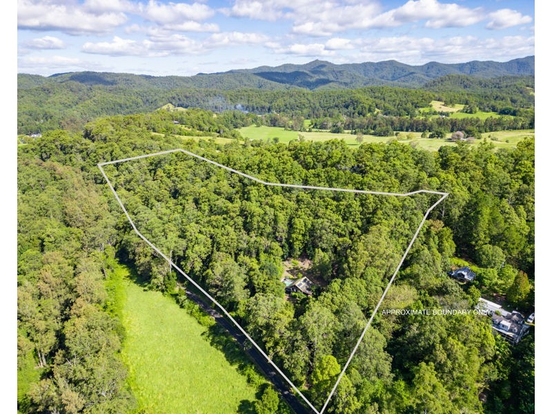 803 Summervilles Rd Thora, Bellingen NSW 2454