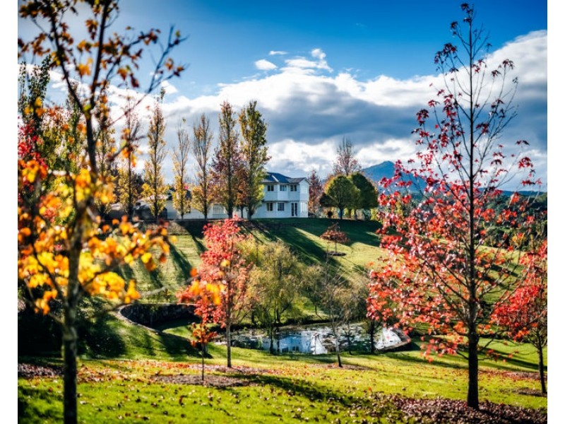 61 Hollings Close, Valla NSW 2448