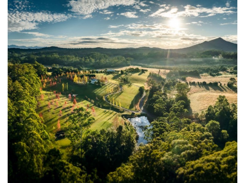 61 Hollings Close, Valla NSW 2448