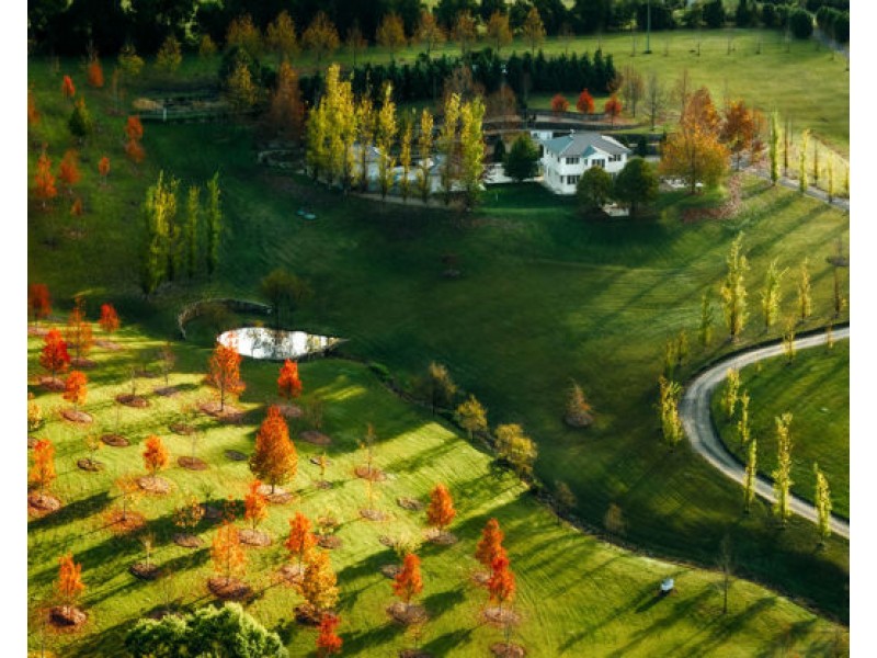 61 Hollings Close, Valla NSW 2448