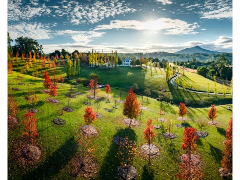 61 Hollings Close, Valla NSW 2448