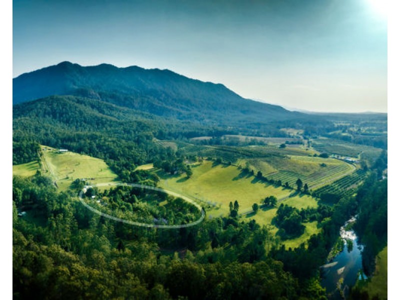 740 Summervilles Road, Thora NSW 2454