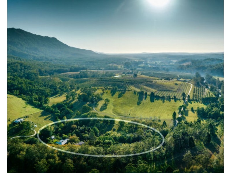 740 Summervilles Road, Thora NSW 2454