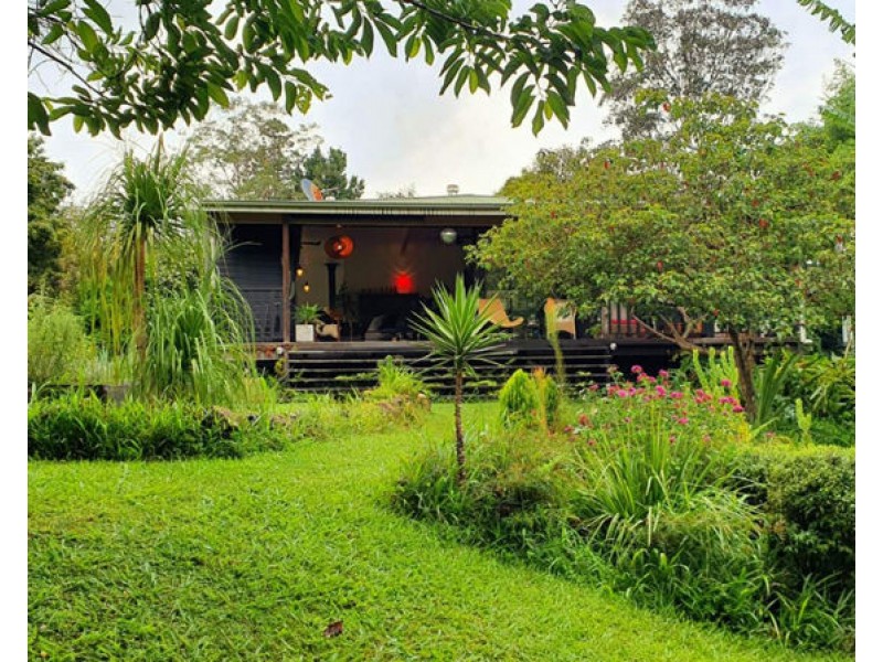 1724 Waterfall Way, Bellingen NSW 2454