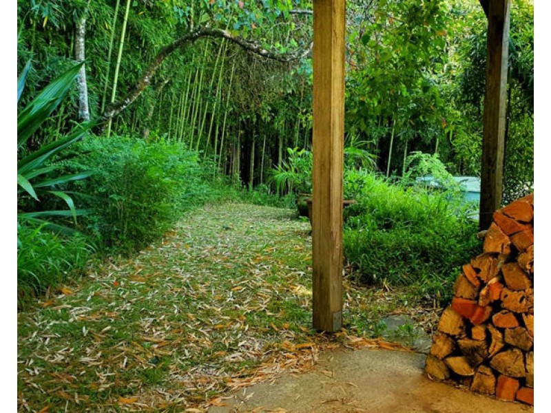 1724 Waterfall Way, Bellingen NSW 2454