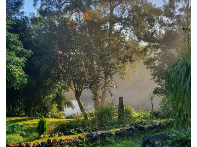 1724 Waterfall Way, Bellingen NSW 2454