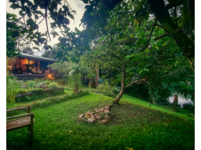 1724 Waterfall Way, Bellingen NSW 2454