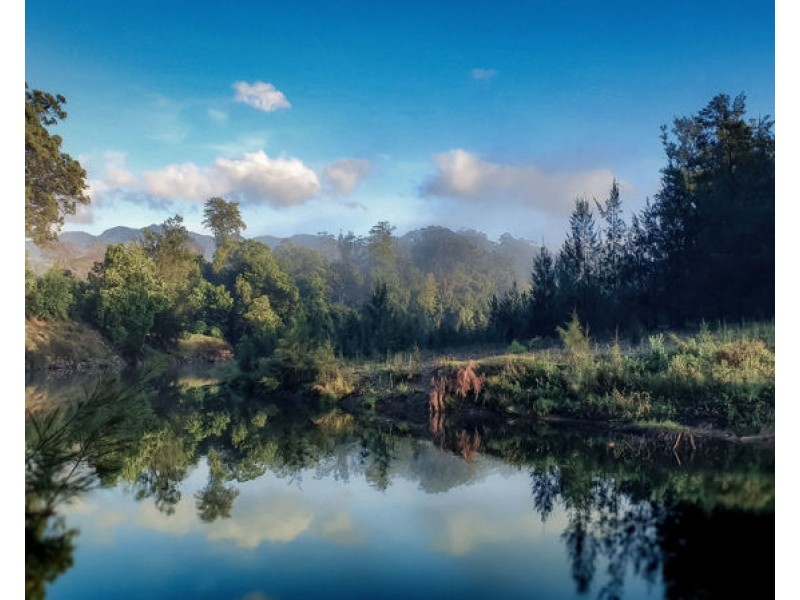 1724 Waterfall Way, Bellingen NSW 2454