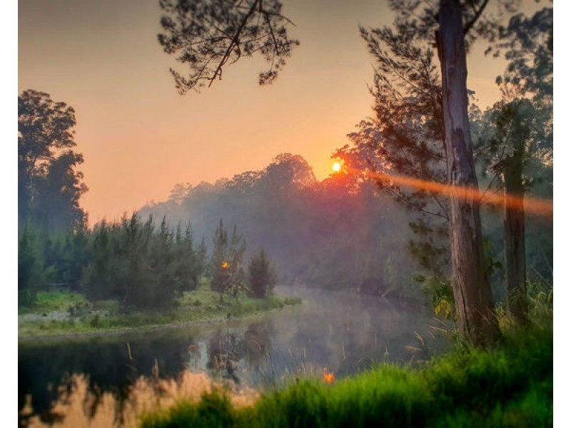 1724 Waterfall Way, Bellingen NSW 2454