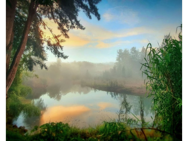 1724 Waterfall Way, Bellingen NSW 2454