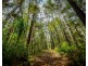 78 Pulsford Place, Fernmount NSW 2454