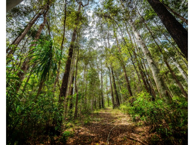 78 Pulsford Place, Fernmount NSW 2454