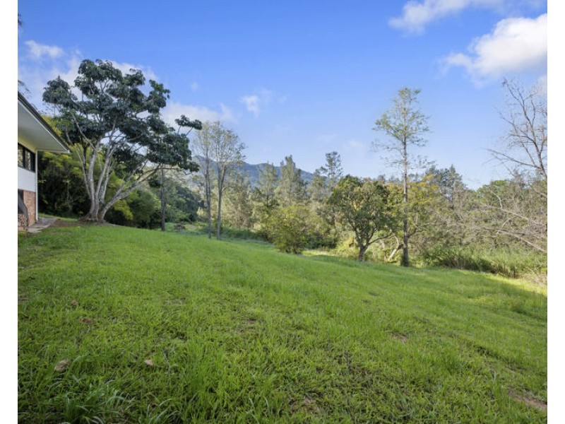 2660 Waterfall Way, Bellingen NSW 2454